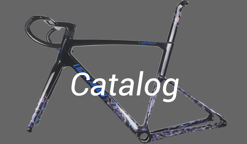 LightCarbon fietsframe en carbon wielen e-catalogus